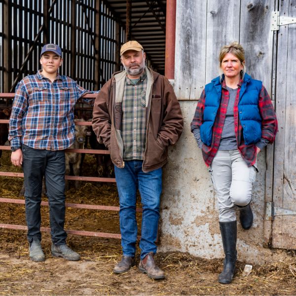 Farming Family With Calves