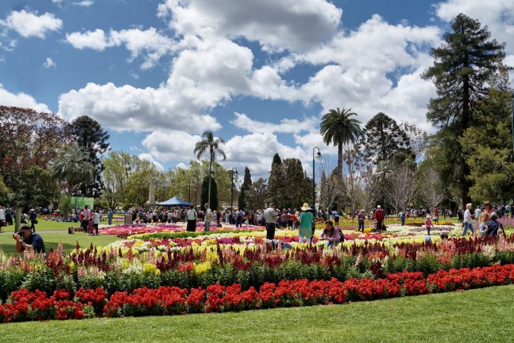 Carnival Of Flowers In Toowoomba