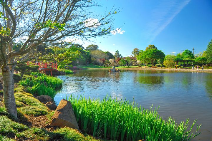 Japanese Garden At Toowoomba In Summer
